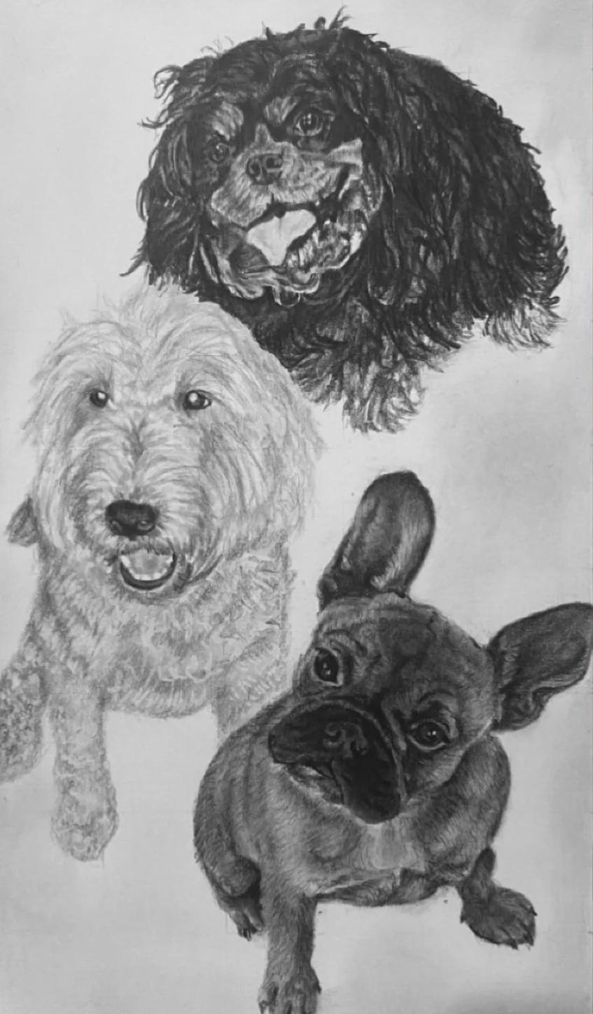 Hand-drawn pencil portrait of three dogs
